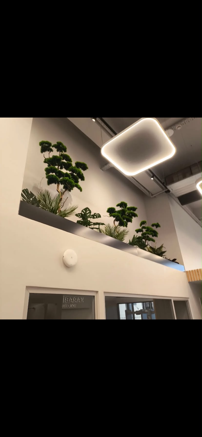 Yapay Bonsai görsel 4